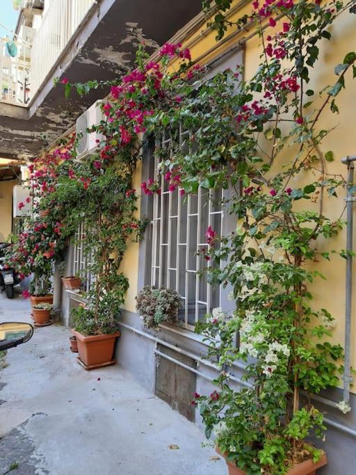 Apartmán Vesuvius A Mezzocannone Neapol Exteriér fotografie
